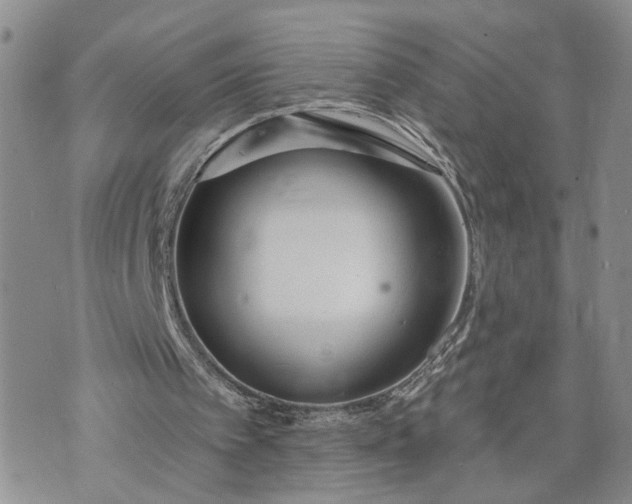 X0000072970097200608041228