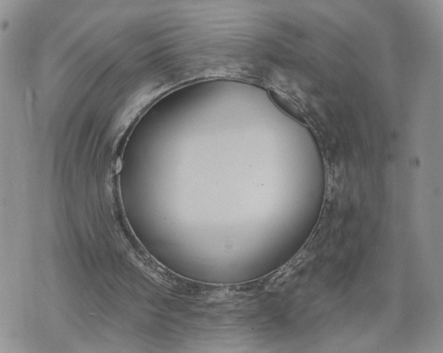 X0000072970098200608041228