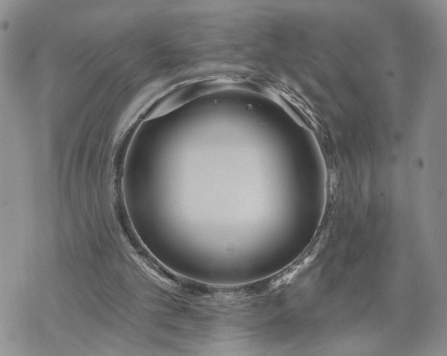 X0000072970101200608041228