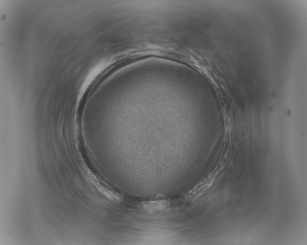 X0000072970102200608041228