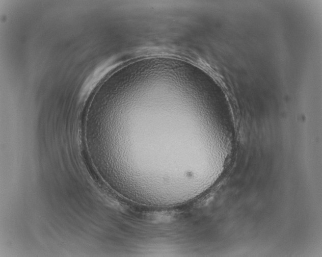 X0000072970103200608041228