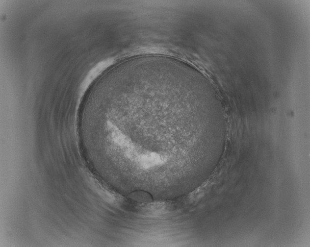 X0000072970104200608041228