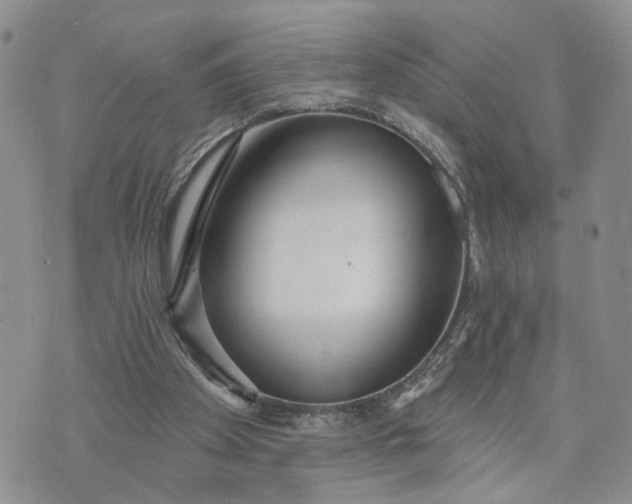 X0000072970105200608041228