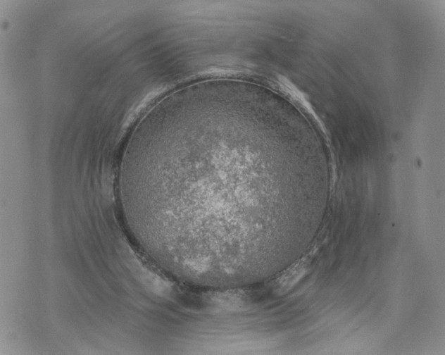 X0000072970106200608041228