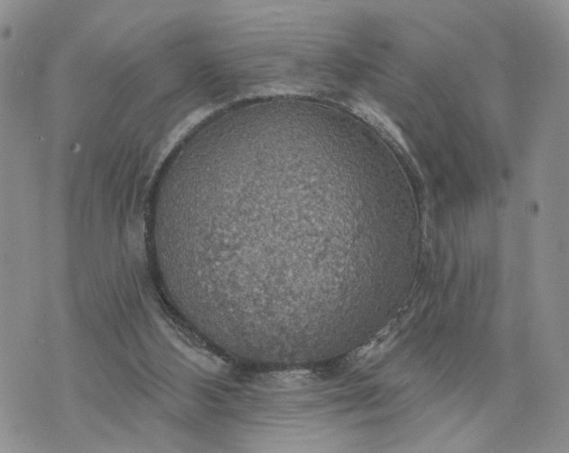 X0000072970108200608041228