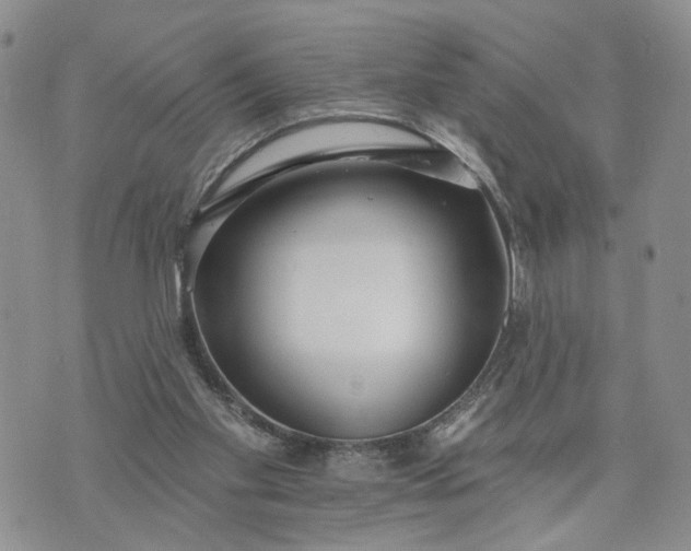 X0000072970109200608041228