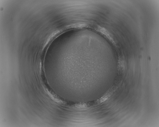 X0000072970110200608041228