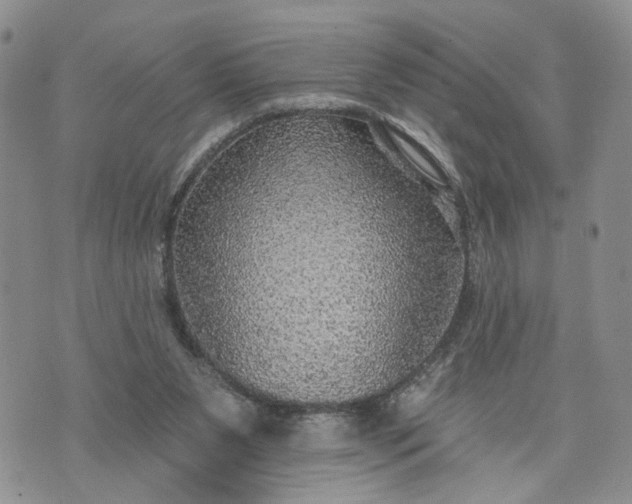 X0000072970111200608041228