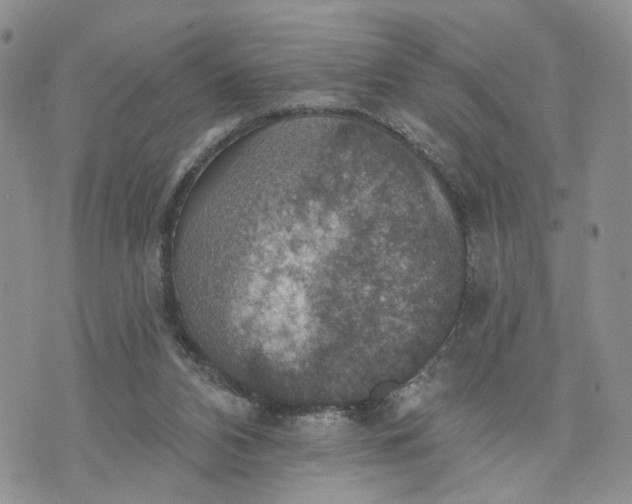 X0000072970112200608041228