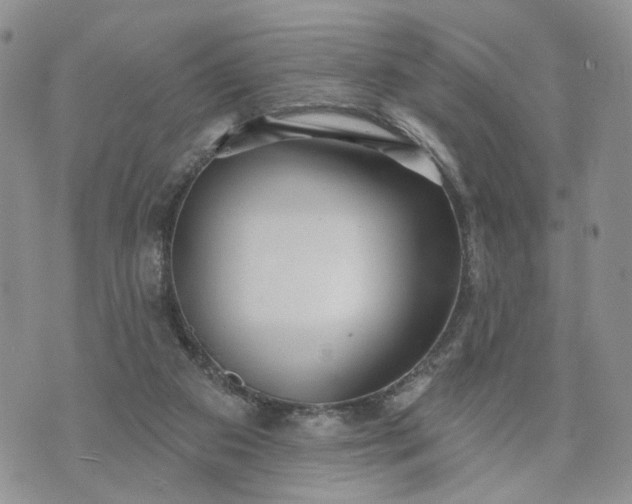 X0000072970113200608041228