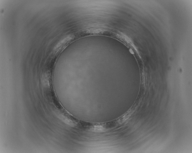 X0000072970114200608041228