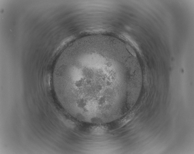 X0000072970115200608041228