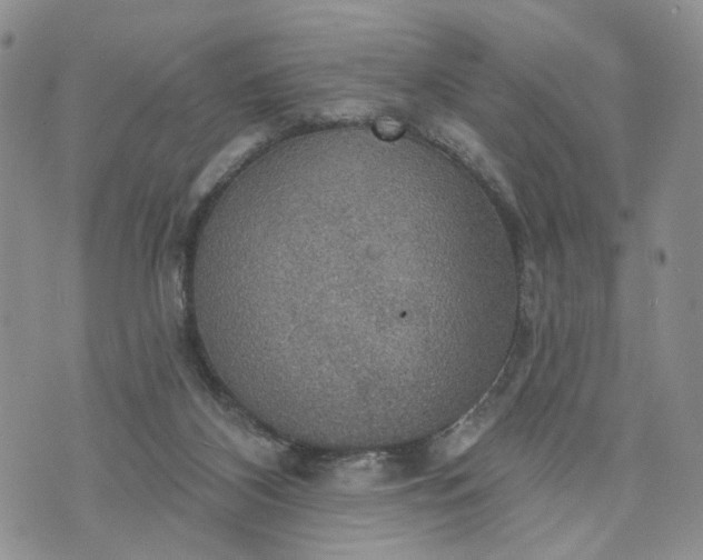 X0000072970116200608041228