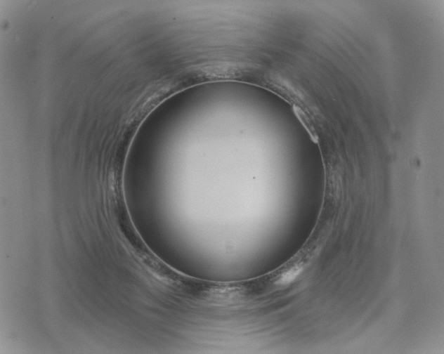 X0000072970117200608041228