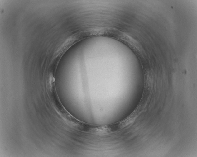 X0000072970118200608041228