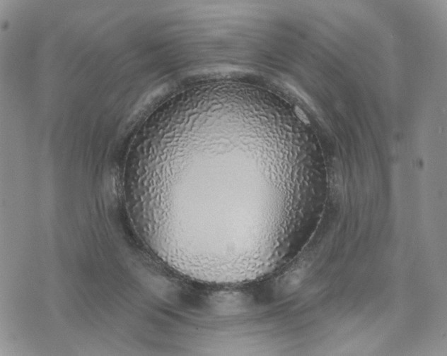 X0000072970119200608041228