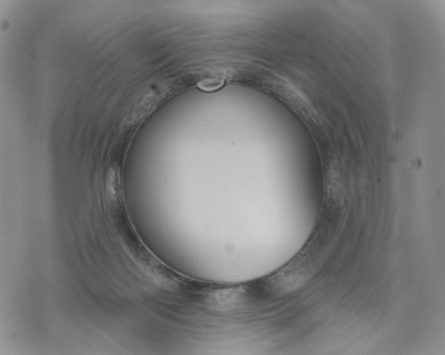 X0000072970122200608041228