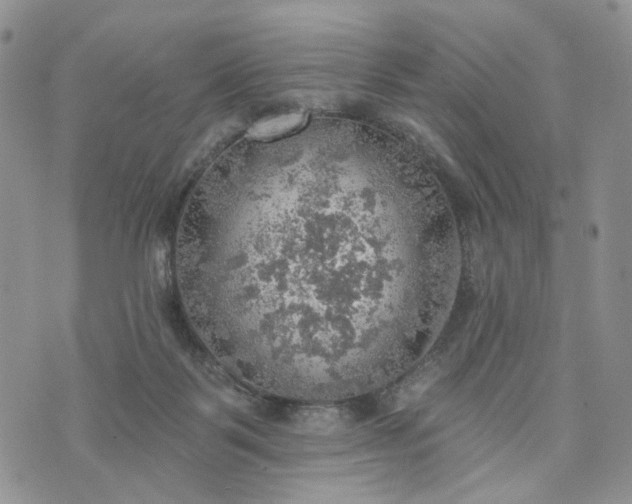 X0000072970123200608041228