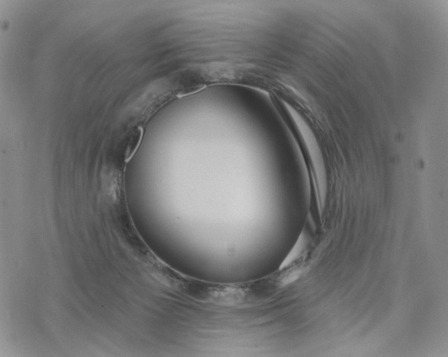 X0000072970125200608041228