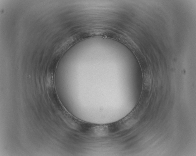 X0000072970126200608041228