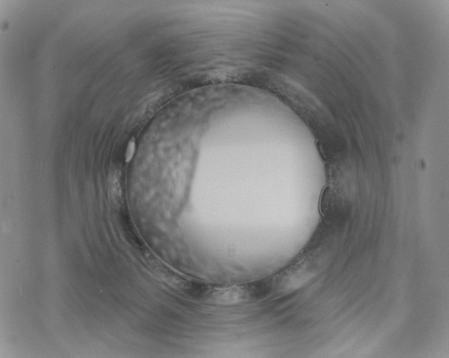 X0000072970127200608041228