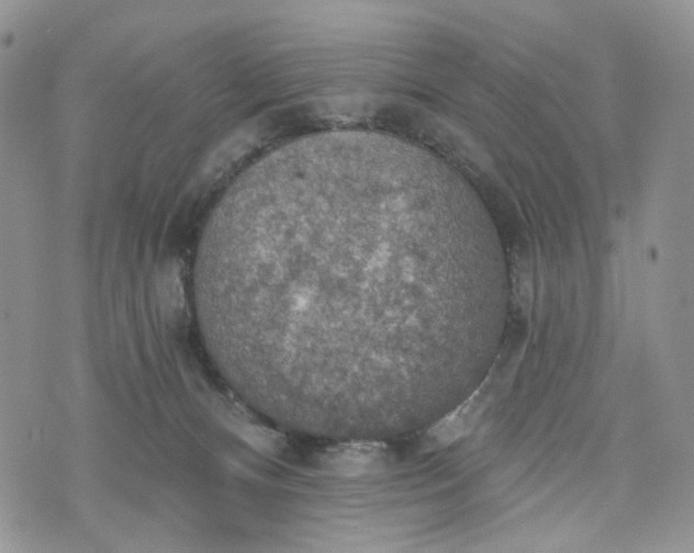 X0000072970128200608041228