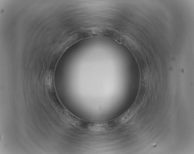 X0000072970129200608041228