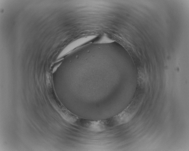 X0000072970130200608041228