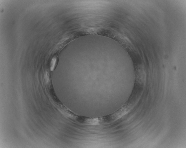 X0000072970131200608041228