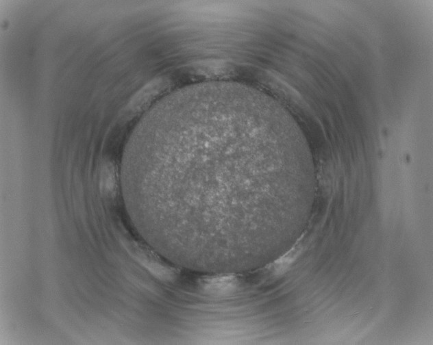 X0000072970132200608041228