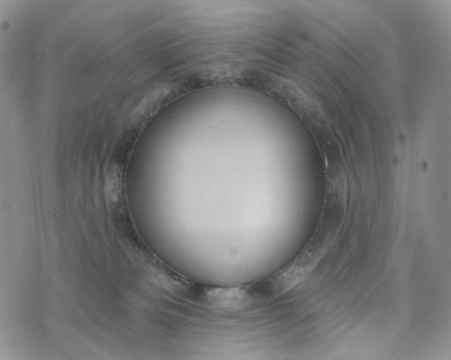 X0000072970133200608041227