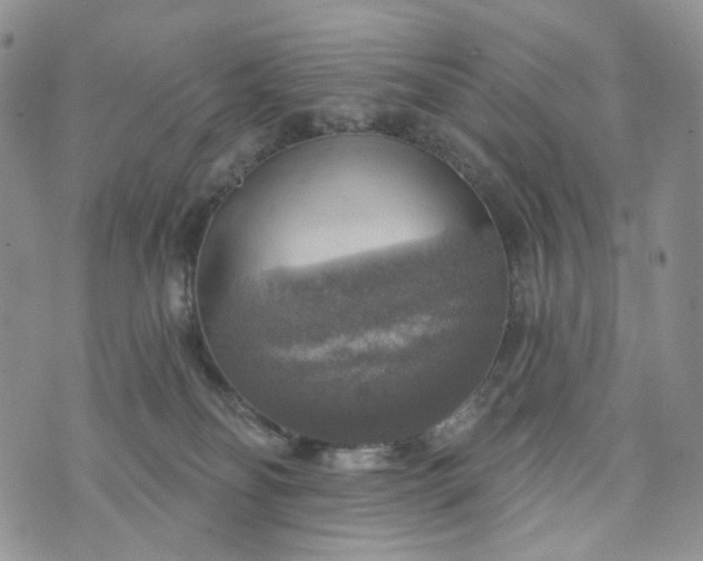 X0000072970134200608041227