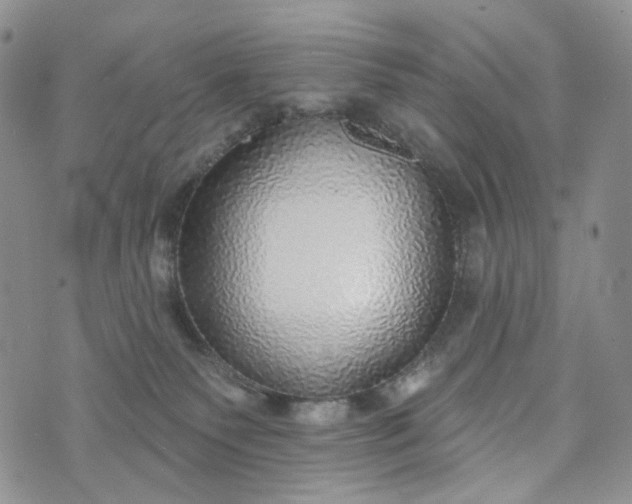 X0000072970135200608041227