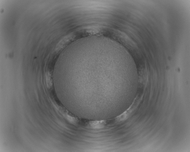 X0000072970136200608041227