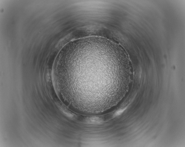 X0000072970137200608041227