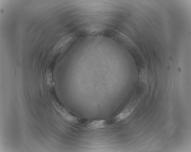 X0000072970138200608041227