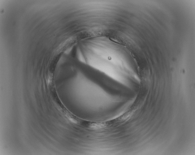 X0000072970139200608041227