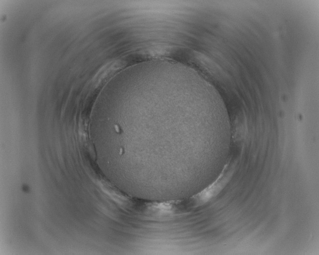 X0000072970140200608041227