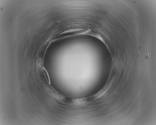 X0000072970141200608041227