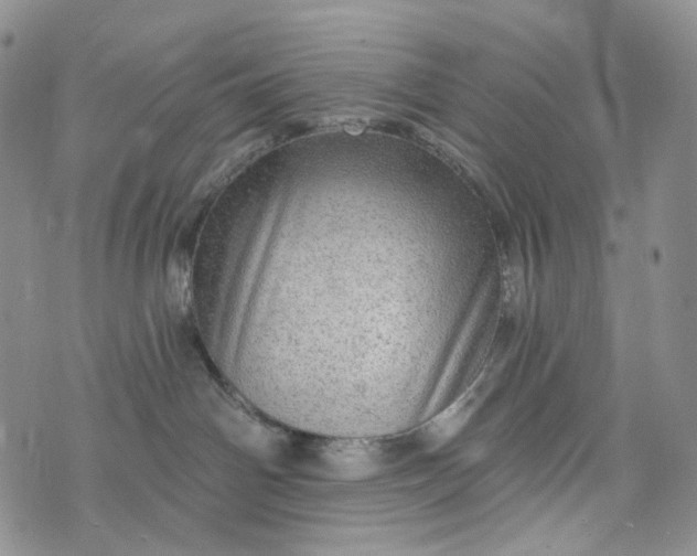 X0000072970142200608041227