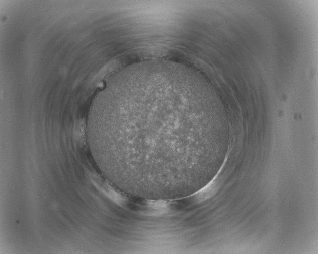 X0000072970144200608041227