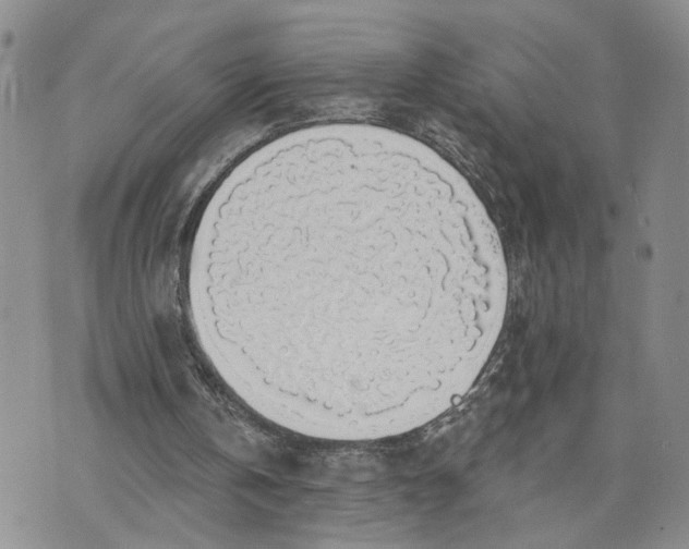 X0000072970146200608041226