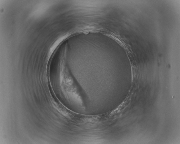 X0000072970147200608041226