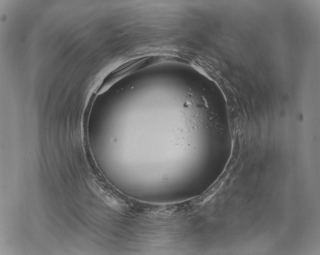 X0000072970148200608041226