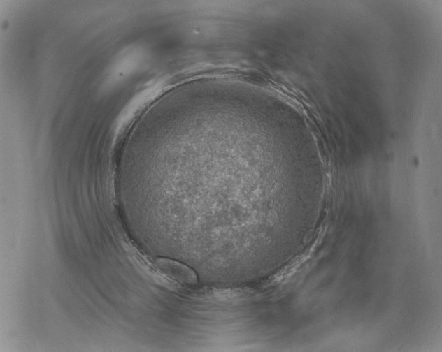 X0000072970149200608041226