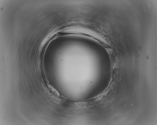 X0000072970150200608041227