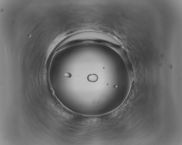 X0000072970152200608041227