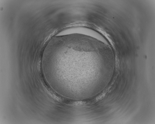 X0000072970153200608041227