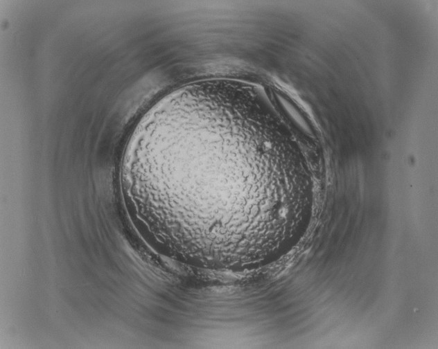 X0000072970154200608041227