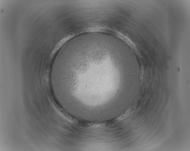 X0000072970155200608041227